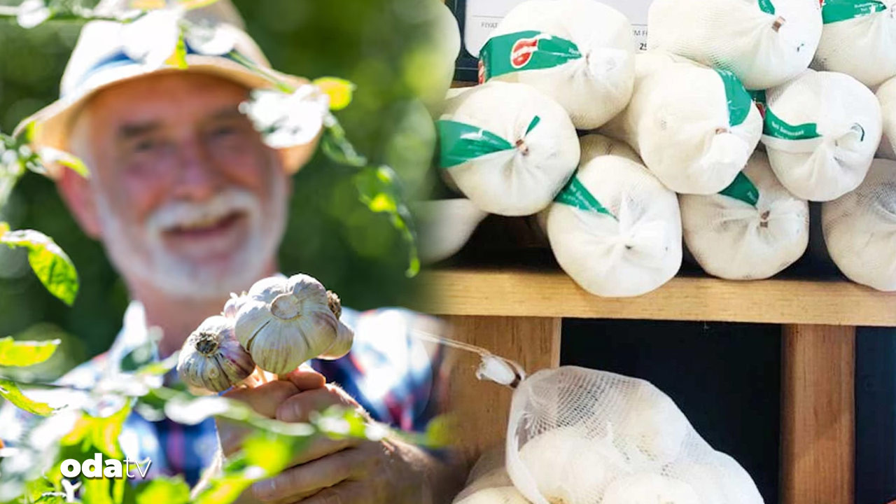 sarimsaga 4 yilda yuzde 1300 zam HlklaIhg