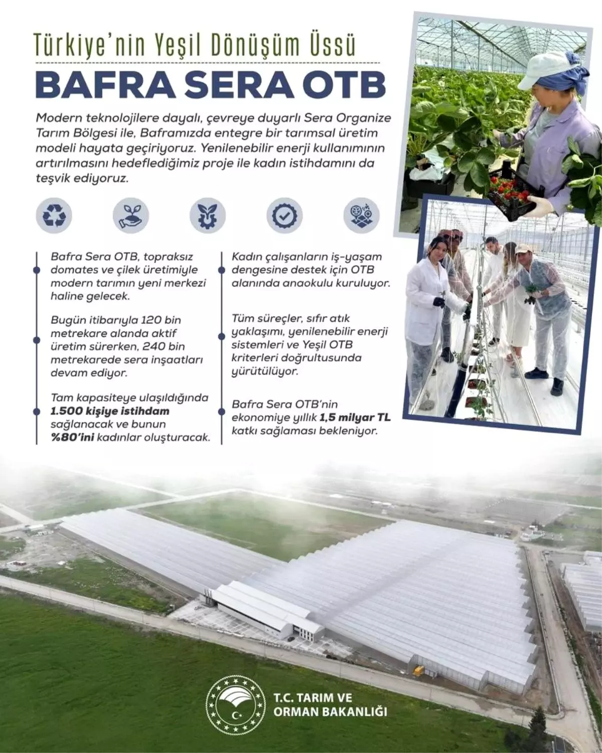 bafra sera organize tarim bolgesi projesi kadin istihdami ve ekonomik katki OFTmJ7DZ.jpg