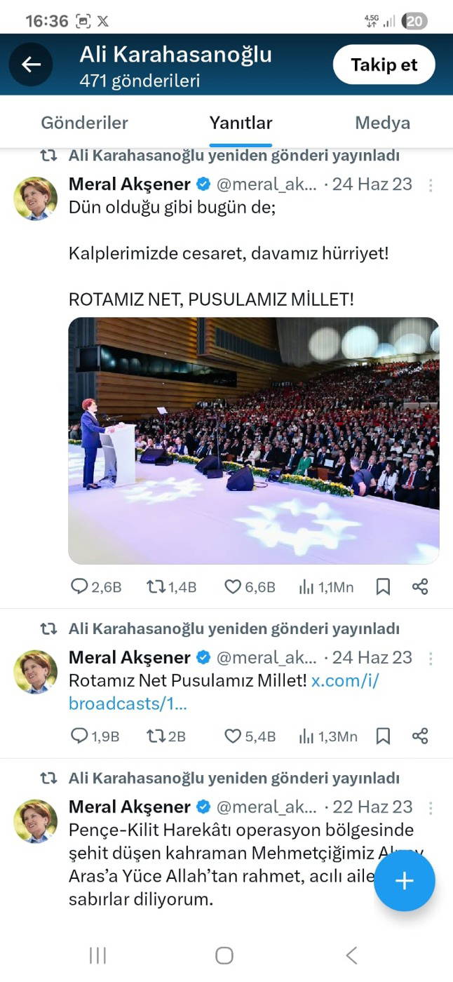 Akşener ile İlgili Paylaşımlar