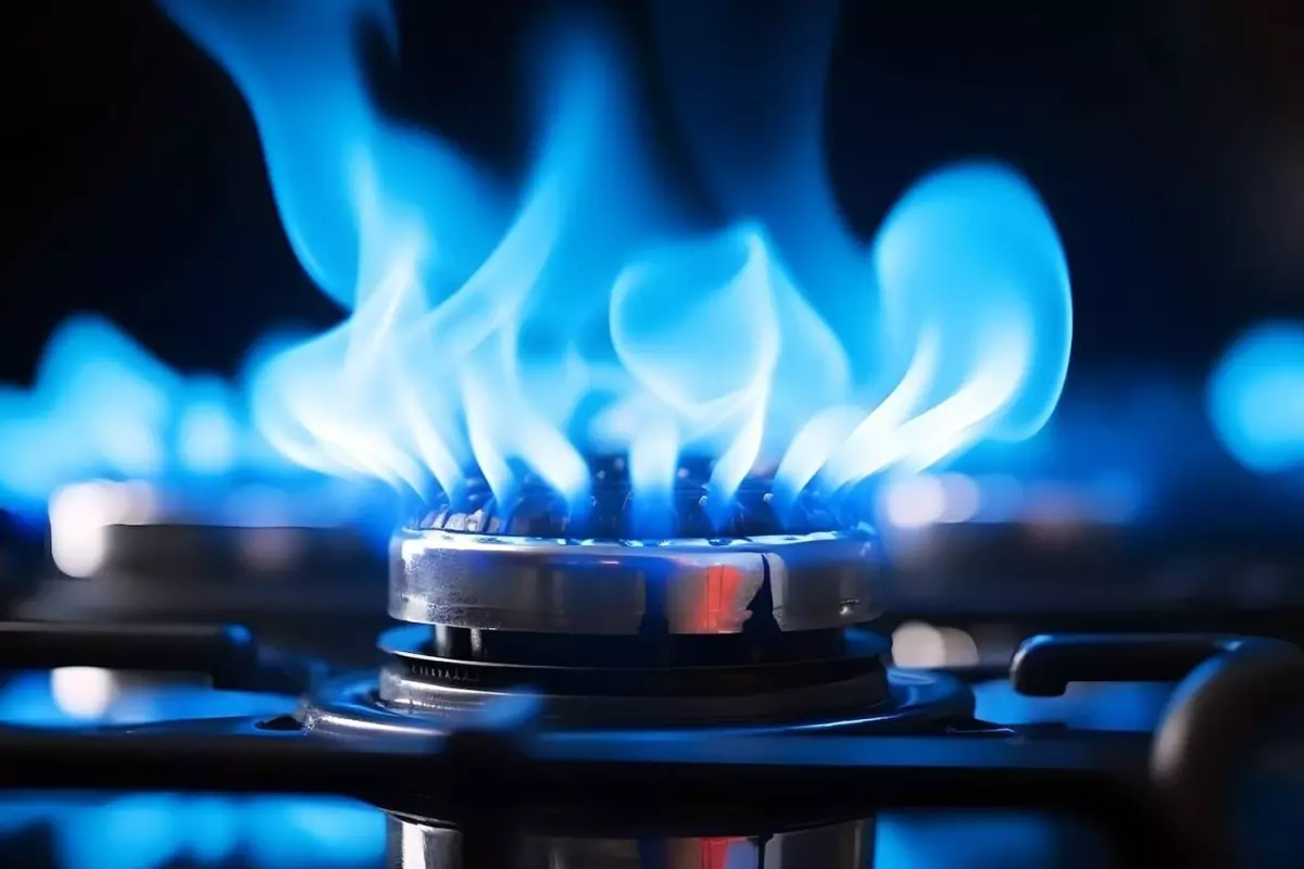 burdurda sehri saran koku vatandasi korkuttu OwSXcaAG