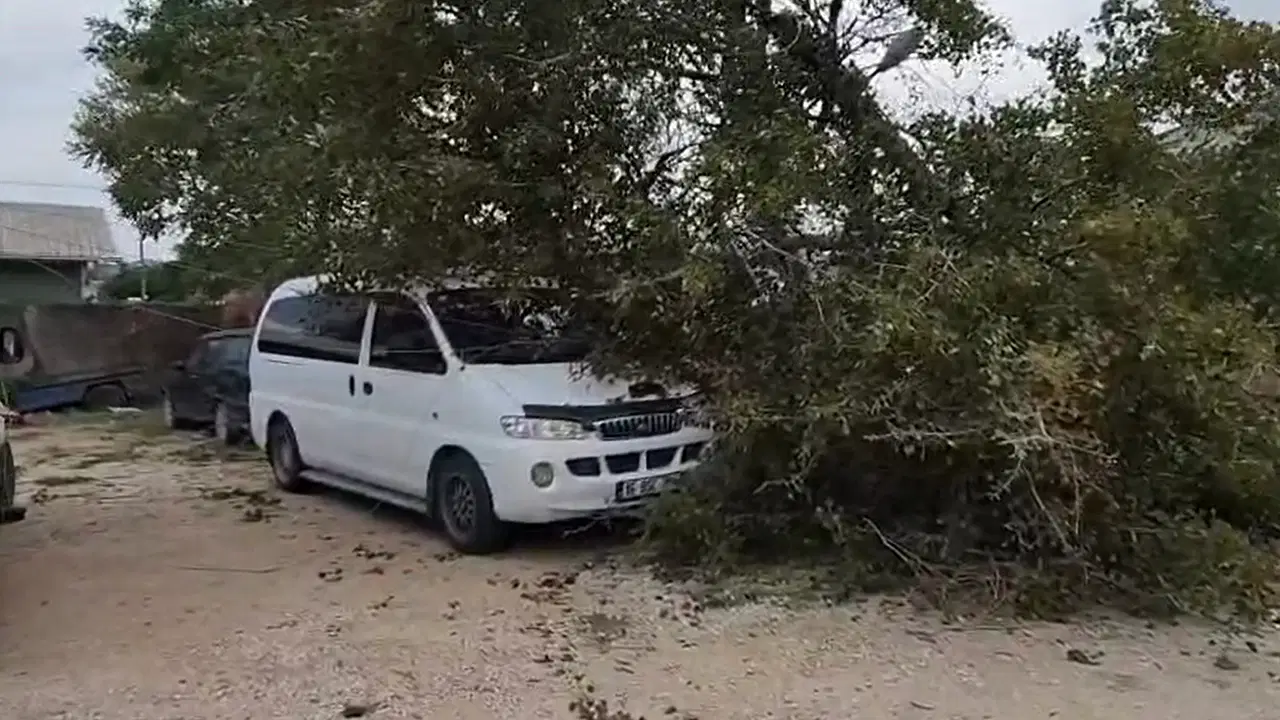 bursada lodos hayati olumsuz etkiledi agaclar devrildi catilar uctu aIg8LJt8.jpg
